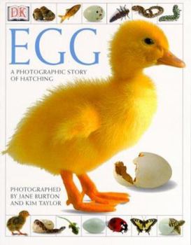 Paperback Egg Book