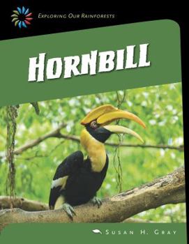 Great Hornbill - Book  of the Exploring Our Rainforests