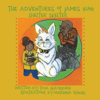 Paperback The Adventures of James Bun: Shelter Skelter Book