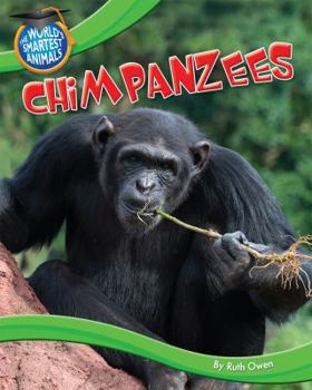 Chimpanzees - Book  of the World's Smartest Animals