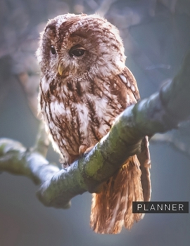 Planner: Owl 2 Year Monthly Planner with Note Pages (24 Months) | Jan 2020 - Dec 2021 | Month Planning | Appointment Calendar Schedule | Plan Each Day, Set Goals & Get Stuff Done