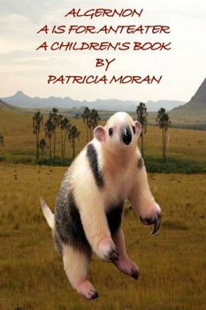 Paperback ALGERNON: A IS FOR ANTEATER Book