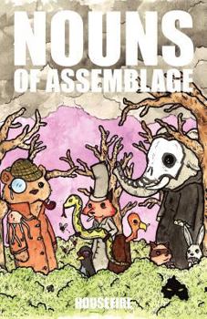 Paperback Nouns of Assemblage Book