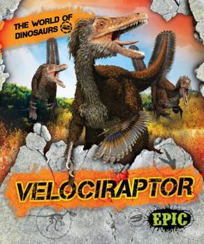 Paperback Velociraptor Book