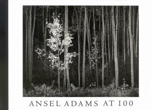 Paperback Ansel Adams at 100 : A Postcard Folio Book