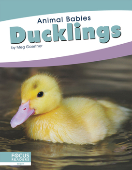 Paperback Ducklings Book