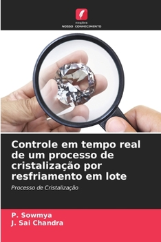 Paperback Controle em tempo real de um processo de cristalização por resfriamento em lote [Portuguese] Book