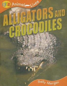 Hardcover Alligators and Crocodiles (Qeb Animal Lives) Book