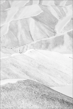 Hardcover Horse Head: Frederik Buyckx Book