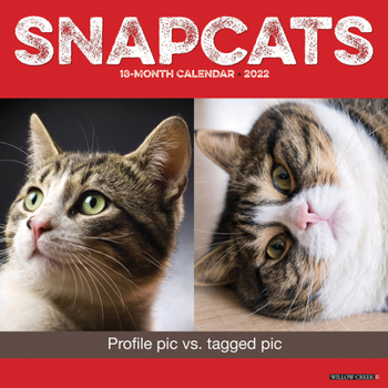 Calendar Snapcats 2022 Wall Calendar Book