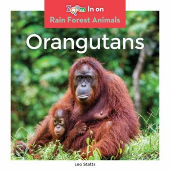 Orangutans - Book  of the Rain Forest Animals
