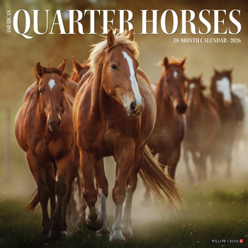 Calendar American Quarter Horses 2026 Wall Calendar Book