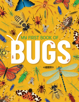 Hardcover My First Book of Bugs Book