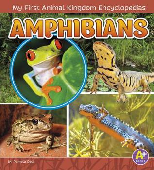 Amphibians - Book  of the My First Animal Kingdom Encyclopedias