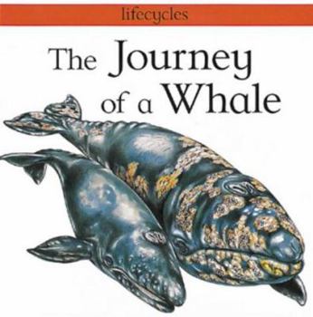 Paperback The Journey of a Whale Book