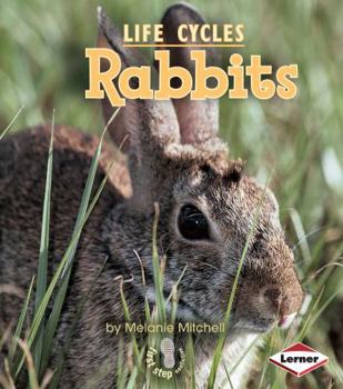 Rabbits (First Step Nonfiction: Animal Life Cycles) - Book  of the First Step Nonfiction