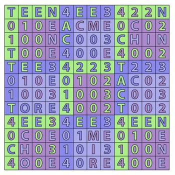 Paperback Color Spell Learn: TEEN to WILT Book