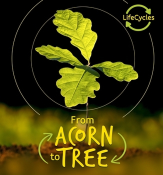 Lifecycles: Acorn to Oak Tree - Book  of the Lifecycles