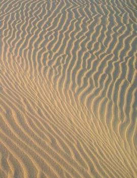 Paperback Desert Notebook Large Size 8.5 x 11 Ruled 150 Pages Softcover Book