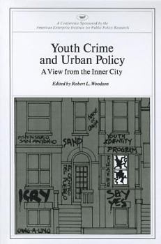 Paperback Youth Crime and Urban Policy: A View from the Inner City (AEI symposia) Book