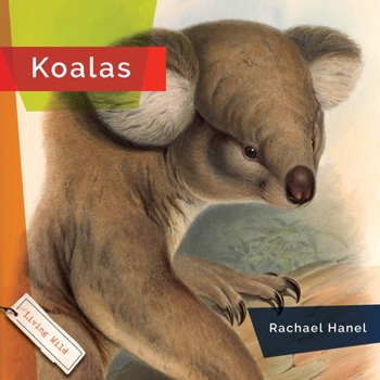 Library Binding Koalas Book