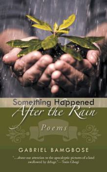 Paperback Something Happened After the Rain: Poems Book