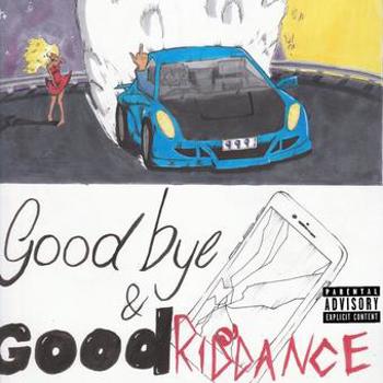 Vinyl Goodbye & Good Riddance (LP) Book