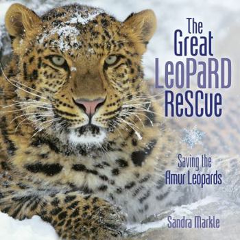 Library Binding The Great Leopard Rescue: Saving the Amur Leopards Book