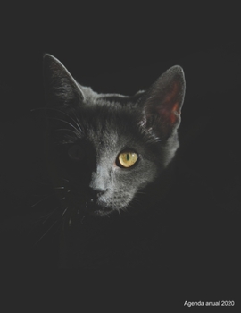 Agenda anual 2020: Agenda anual para 2020, 12 meses, agenda de 52 semanas  con tareas y metas; formato A4+; motivo: Katze im Dunkeln (Spanish Edition)