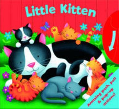 Hardcover Little Kitten (Who am I?) Book