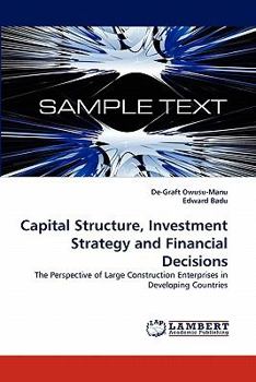 Paperback Capital Structure, Investment Strategy and Financial Decisions Book