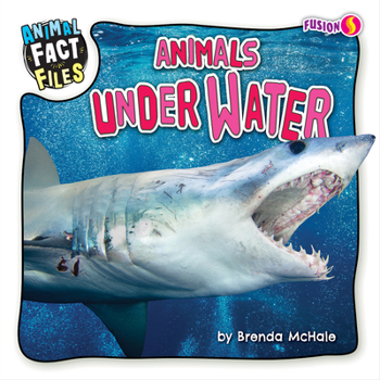 Paperback Animals Under Water Book
