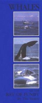 Paperback Whales of the Bay of Fundy Book