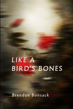 Paperback Like a Bird's Bones Book