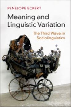 Paperback Meaning and Linguistic Variation Book