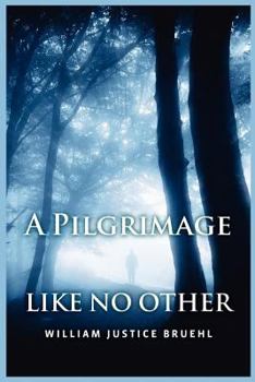 Paperback A Pilgrimage Like No Other Book