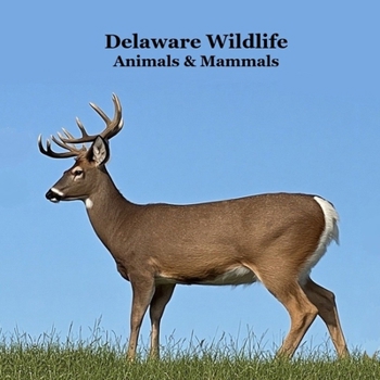 Delaware Animals and Mammals Kids Wildlife Book: Great Wildlife Book about Animals and Mammals in Delaware