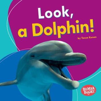 Library Binding Look, a Dolphin! Book