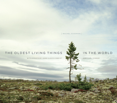 Hardcover The Oldest Living Things in the World Book