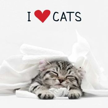 Hardcover I Love Cats Book