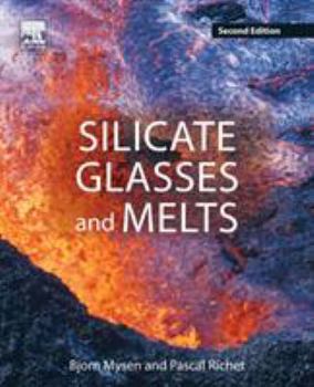 Paperback Silicate Glasses and Melts Book