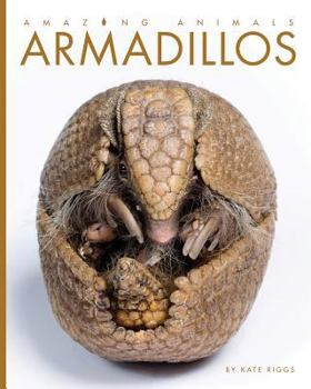 Armadillos - Book  of the Animals are Amazing