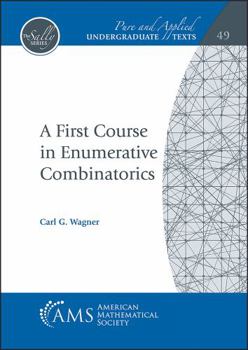 Paperback A First Course in Enumerative Combinatorics Book