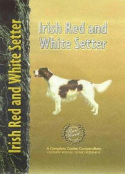 Hardcover Irish Red and White Setter Book