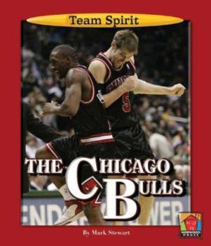 Library Binding The Chicago Bulls Book