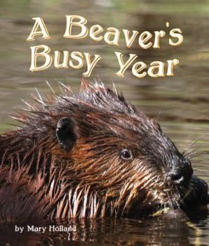 Paperback The Beavers' Busy Year Book