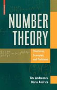 Hardcover Number Theory: Structures, Examples, and Problems Book