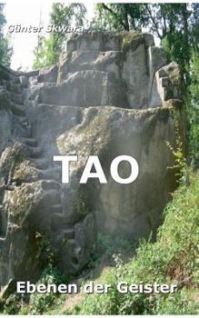 Paperback Ebenen der Geister [German] Book