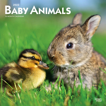 Calendar Baby Animals 2022 Square Book