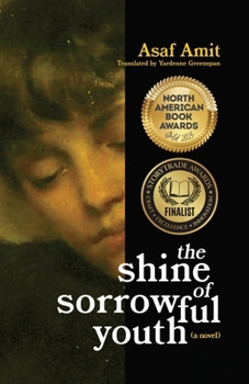 Paperback The shine of sorrowful youth Book